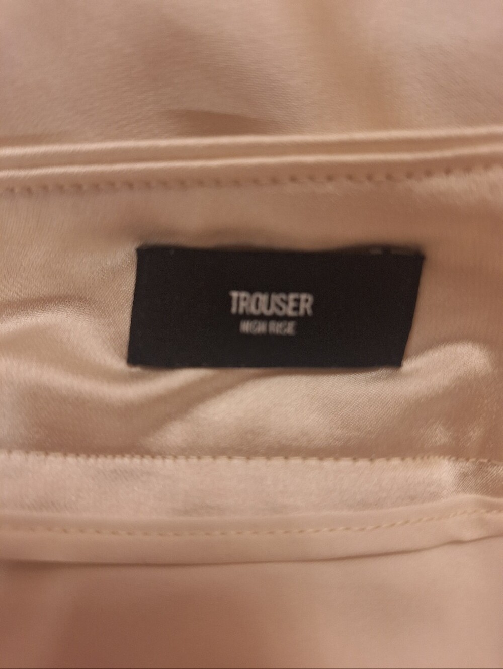 Express Satin Pants - Picture 14 of 14